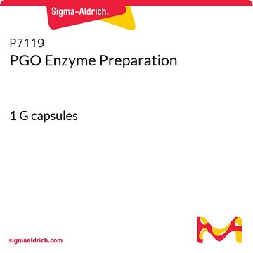 PGO Enzyme Preparation 1 G capsules