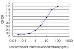 Monoclonal Anti-MSH5 antibody produced in mouse clone 1C11, purified immunoglobulin, buffered aqueous solution