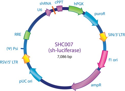 MISSION&#174; pLKO.1-puro Luciferase shRNA Control Transduction Particles shRNA sequence targeting luciferase