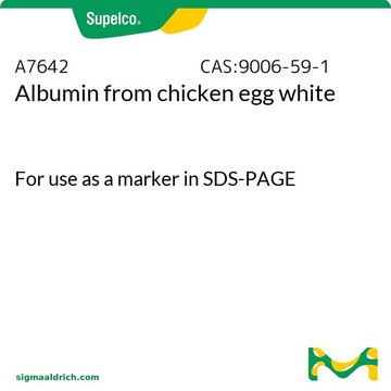 Albumin from chicken egg white For use as a marker in SDS-PAGE