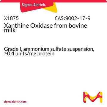 Xanthine Oxidase from bovine milk Grade I, ammonium sulfate suspension, &#8805;0.4&#160;units/mg protein