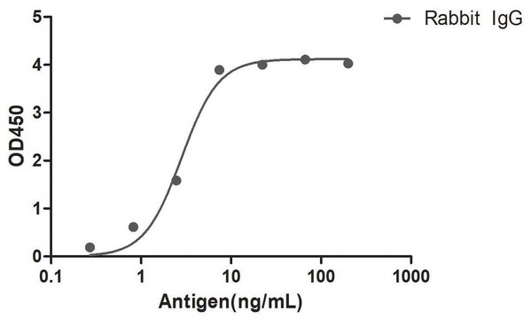 Alpaca Anti-Rabbit IgG(Fc&#947;) single domain Antibody recombinant Alpaca(VHH) Nano antibody