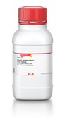 Poly(4-vinylpyridine), cross-linked 2&#160;% cross-linked with divinylbenzene, powder