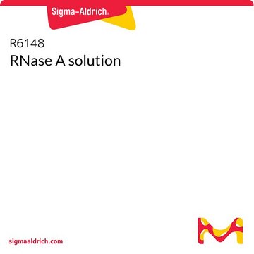 RNase A solution