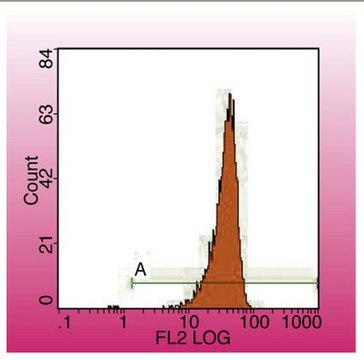 Anti-CD45 Antibody, clone IBL-5/25 clone IBL-5/25, from rat