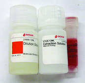 Extract-N-Amp&#8482; Plant PCR Kit sufficient for 100&#160;extractions, sufficient for 100&#160;amplifications