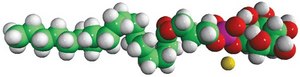 Liver Lyso PI Avanti Research&#8482; - A Croda Brand 850091P, powder