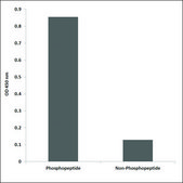 Anti-phospho-Opioid Receptor-&#948; (pSer363) antibody produced in rabbit affinity isolated antibody