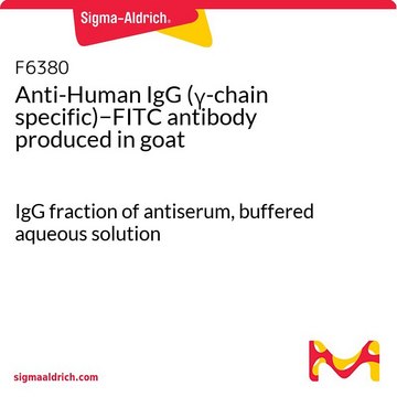 Anti-Human IgG (&#947;-chain specific)&#8722;FITC antibody produced in goat IgG fraction of antiserum, buffered aqueous solution