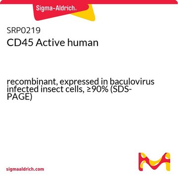 CD45 Active human recombinant, expressed in baculovirus infected insect cells, &#8805;90% (SDS-PAGE)