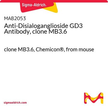 Anti-Disialoganglioside GD3 Antibody, clone MB3.6 clone MB3.6, Chemicon&#174;, from mouse