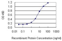 Monoclonal Anti-ARPC5 antibody produced in mouse clone 2D10, purified immunoglobulin, buffered aqueous solution