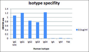 Anti-Human IgG (Fc specific) antibody, Mouse monoclonal clone GG-7, purified from&nbsp;hybridoma&nbsp;cell culture