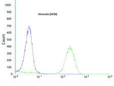 Anti-Vimentin antibody, Rabbit monoclonal recombinant, expressed in proprietary host, clone SP20, tissue culture supernatant