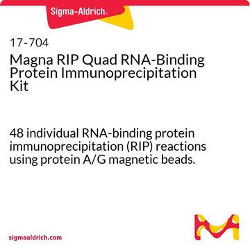 Magna RIP Quad RNA-Binding Protein Immunoprecipitation Kit 48 individual RNA-binding protein immunoprecipitation (RIP) reactions using protein A/G magnetic beads.