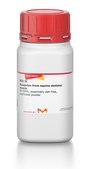 Myoglobin from equine skeletal muscle 95-100%, essentially salt-free, lyophilized powder