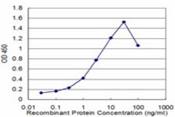 Monoclonal Anti-ZBTB16 antibody produced in mouse clone 1F10, purified immunoglobulin, buffered aqueous solution