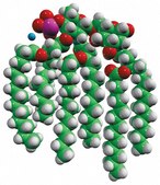 3D-(6-acyl) PHAD&#8482; Avanti Research&#8482; - A Croda Brand