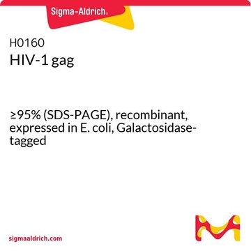 HIV-1 gag &#8805;95% (SDS-PAGE), recombinant, expressed in E. coli, Galactosidase-tagged