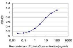 Monoclonal Anti-ARAF antibody produced in mouse clone 6H6, purified immunoglobulin, buffered aqueous solution