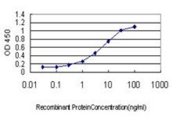 Monoclonal Anti-ACOT11 antibody produced in mouse clone 4D1, purified immunoglobulin, buffered aqueous solution