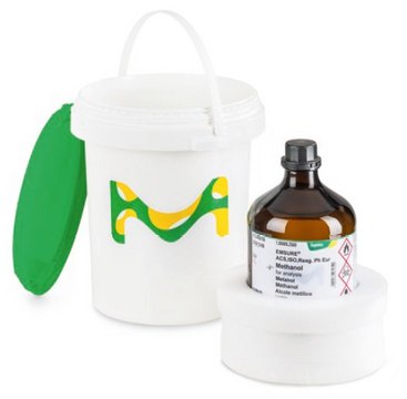 Safety carrier made to hold 2.5 L glass bottles