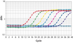 SYBR&#174; Green JumpStart&#8482; Taq ReadyMix&#8482; for quantitative PCR, MgCI2 in buffer