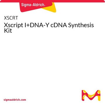 Xscript I+DNA-Y cDNA Synthesis Kit