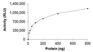 KRAS (Mature Form), Active PRECISIO&#174; Kinase, recombinant