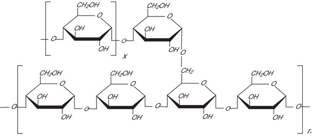 Amylopectin from potato starch