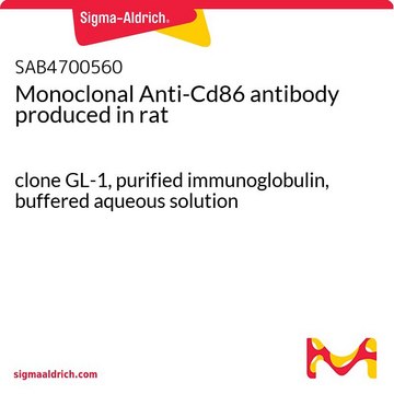 Monoclonal Anti-Cd86 antibody produced in rat clone GL-1, purified immunoglobulin, buffered aqueous solution
