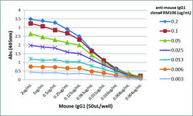 Anti-Mouse IgG1 antibody, Rabbit monoclonal recombinant, expressed in HEK 293 cells, clone RM106, purified immunoglobulin