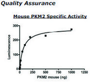 Pyruvate kinase M2 Active from mouse recombinant, expressed in E. coli, &#8805;90% (SDS-PAGE)
