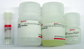 Extract-N-Amp&#8482; Tissue PCR Kit sufficient for 100&#160;extractions, sufficient for 100&#160;amplifications
