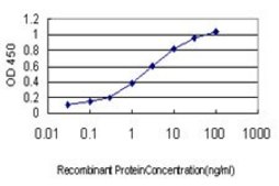 Monoclonal Anti-RAB8A antibody produced in mouse clone 3G1, purified immunoglobulin, buffered aqueous solution