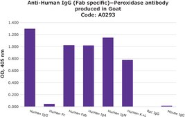 Anti-Human IgG (Fab specific)&#8722;Peroxidase antibody produced in goat affinity isolated antibody