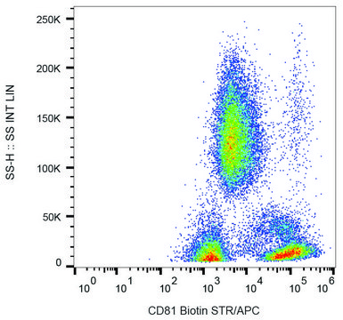 Monoclonal Anti-CD81 antibody produced in mouse clone M38