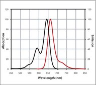 Anti-Rat IgG (H+L), highly cross-adsorbed, CF&#8482; 640R antibody produced in donkey ~2&#160;mg/mL, affinity isolated antibody