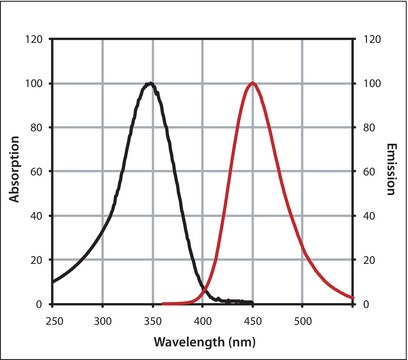 Anti-Rabbit IgG (H+L), CF&#8482; 350 antibody produced in goat ~2&#160;mg/mL, affinity isolated antibody