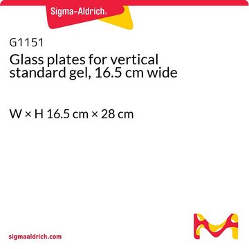 Glass plates for vertical standard gel, 16.5 cm wide W × H 16.5&#160;cm × 28&#160;cm