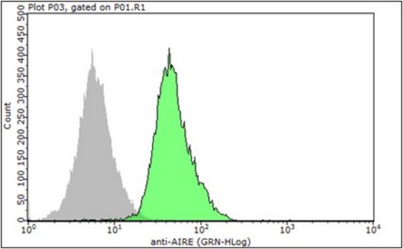 Anti-AIRE Antibody, clone 5H12 clone 5H12, from rat