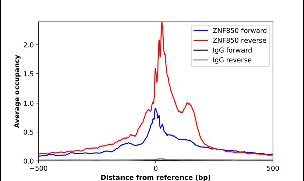 Anti-ZNF850 antibody produced in rabbit Prestige Antibodies&#174; Powered by Atlas Antibodies, affinity isolated antibody, buffered aqueous glycerol solution
