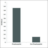 Anti-phospho-Fyn (pTyr530) antibody produced in rabbit affinity isolated antibody