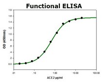 SARS-CoV-2 Receptor Binding Domain Spike protein RBD recombinant, expressed in HEK 293 cells