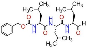 MG-132, &#8805;95% by HPLC Potent, reversible, and cell-permeable proteasome inhibitor (Ki = 4 nM).