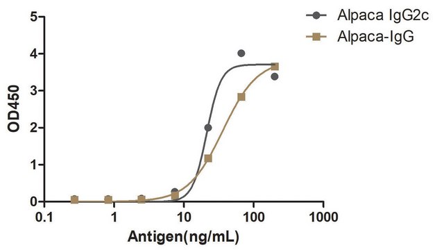 Rabbit Anti-Alpaca IgG2c HRP Alpaca Heavy chain only Antibody recombinant Alpaca(VHH) Nano antibody