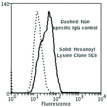 Monoclonal Anti-Hexanoyl-Lysine adduct-Atto 488 antibody produced in mouse clone 5E8
