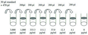 Rat TIMP-1 ELISA Kit for serum, plasma and cell culture supernatant