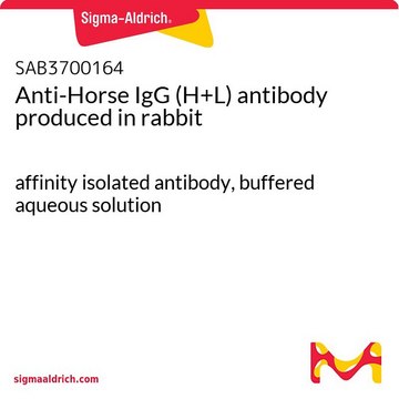 Anti-Horse IgG (H+L) antibody produced in rabbit affinity isolated antibody, buffered aqueous solution