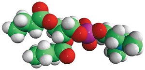 04:0 PC 1,2-dibutyryl-sn-glycero-3-phosphocholine, powder
